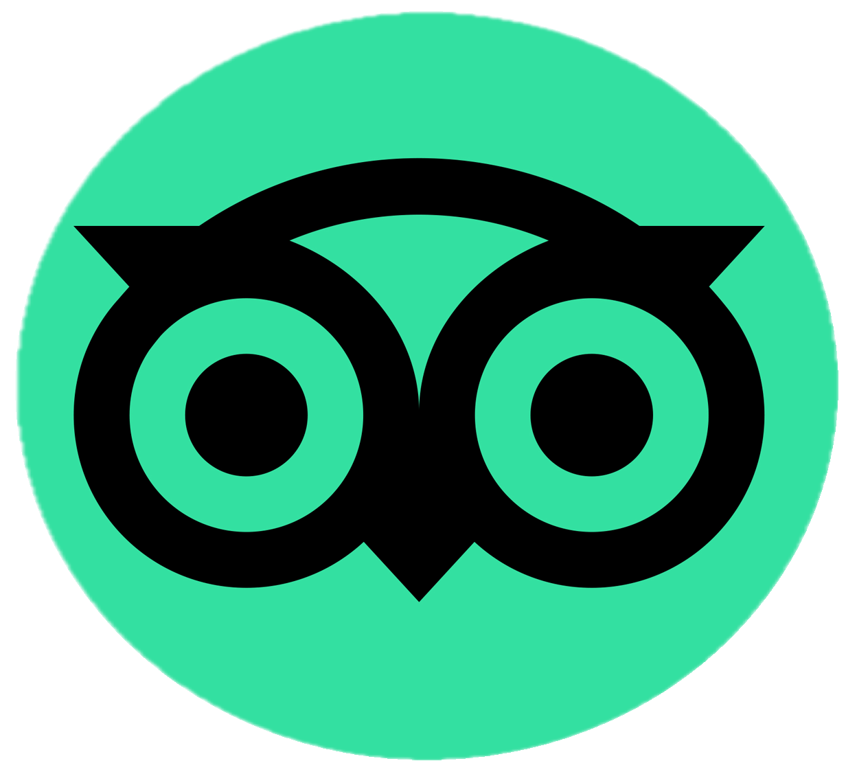 Trip Advisor